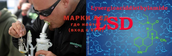 PSILOCYBIN Нефтекумск