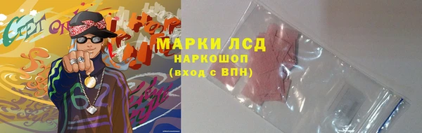 PSILOCYBIN Нефтекумск