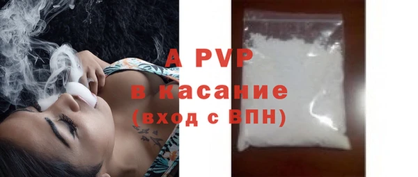 PSILOCYBIN Нея