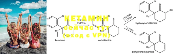 PSILOCYBIN Нефтекумск