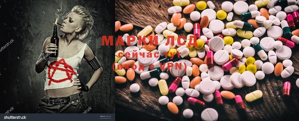 PSILOCYBIN Нефтекумск