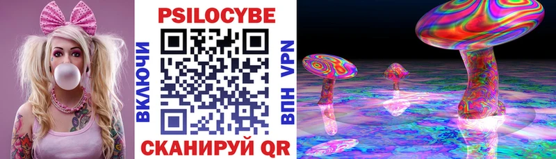 Галлюциногенные грибы Cubensis  где можно купить   Пучеж 